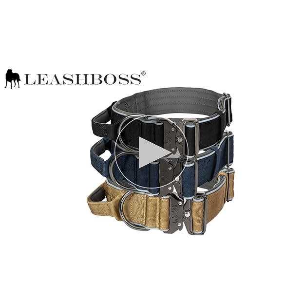 Heavy-Duty Adjustable Dog Collar with Handle A6976