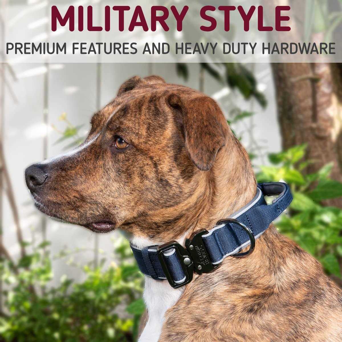 Heavy-Duty Adjustable Dog Collar with Handle A6976