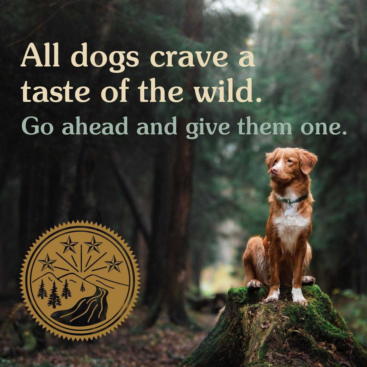 Dog Food O9475