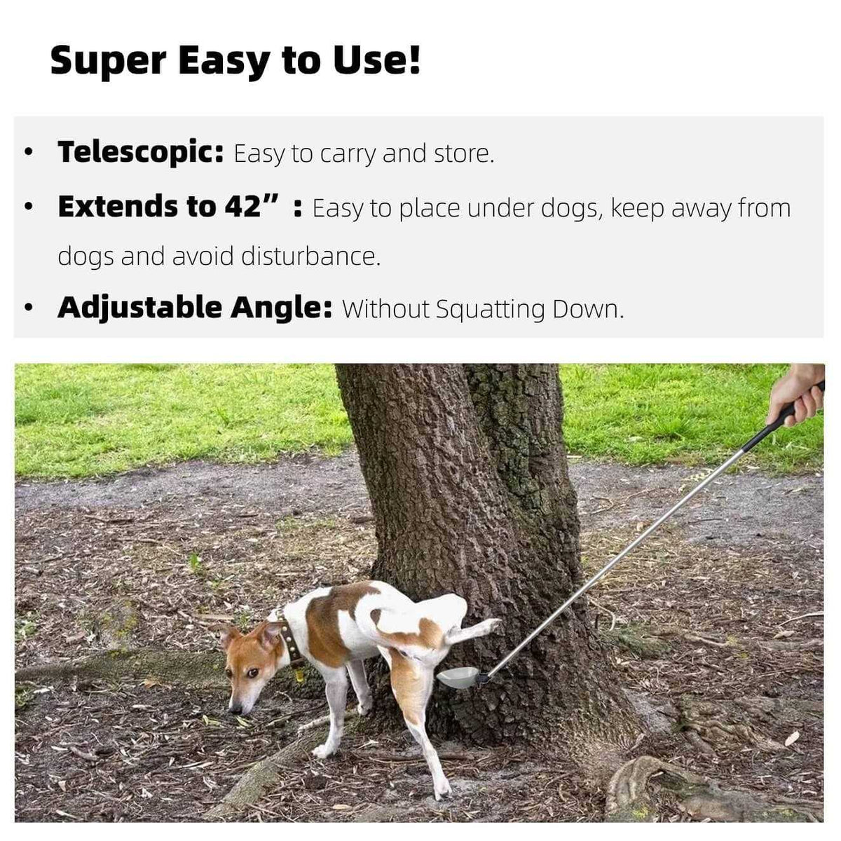 Long Handled Telescopic Dog Urine Sample Catcher Q365