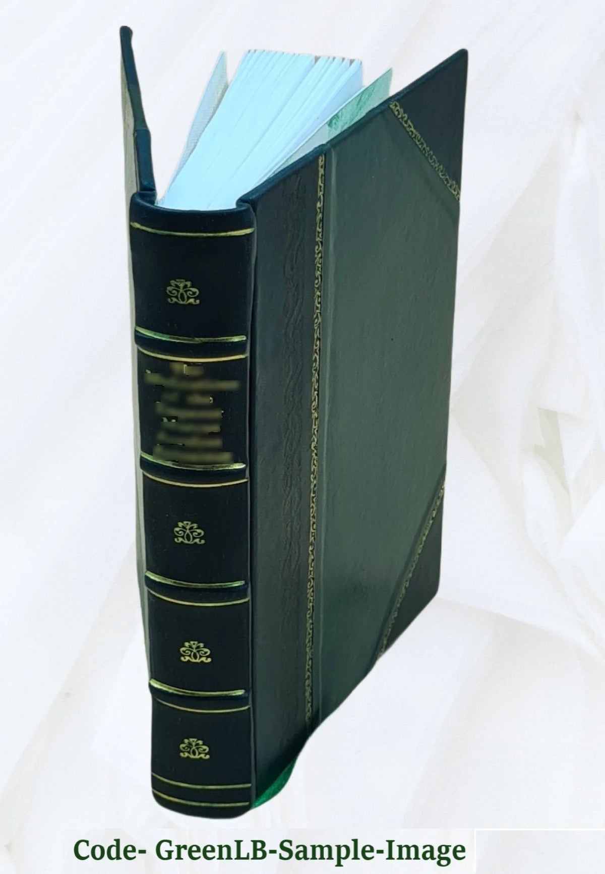 Leather Bound Book B670