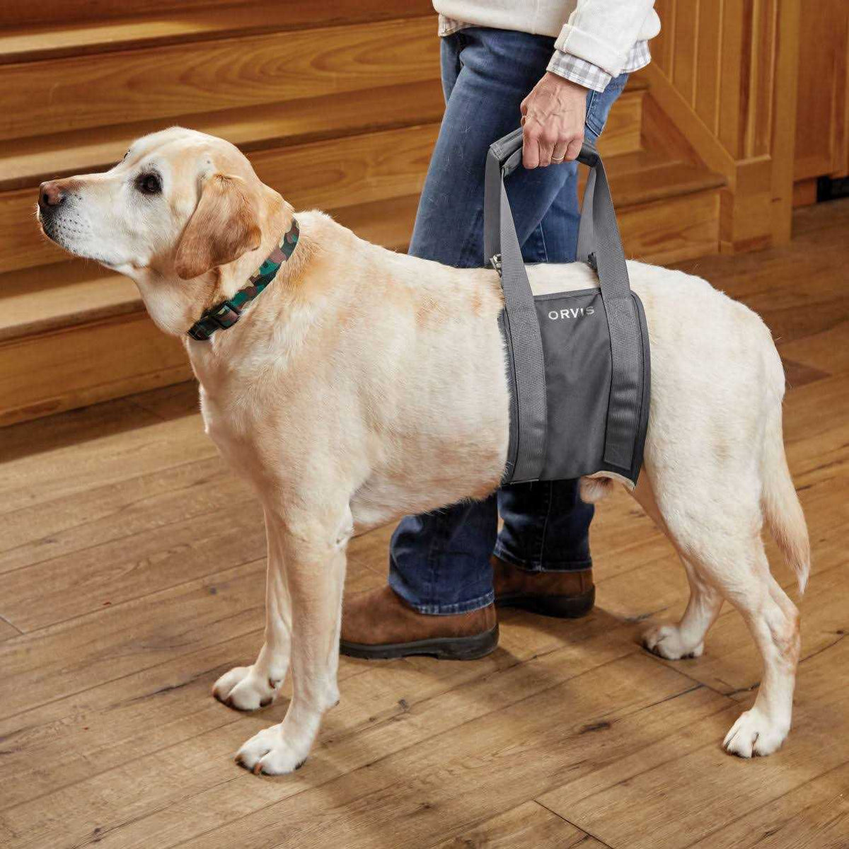 Gray Rear Dog Lift Y8415