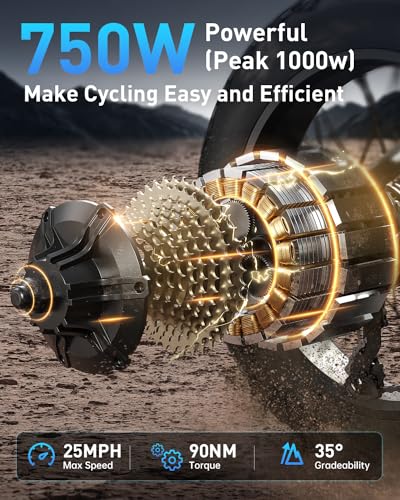 Electric Bike, Peak 1000W Motor, 48V 20Ah Battery, 20''×4.0'' Fat Tire Full Suspension, 28MPH, 80Miles Range, LCD Display, 7 Speed X14638