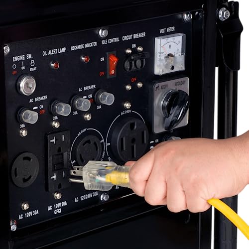12,000-Watt Dual Fuel Portable Generator Z665082