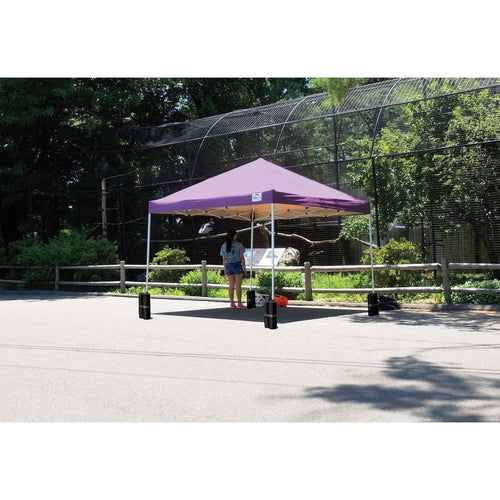 10 ft. W x 10 ft. D Straight Leg Pop-Up Canopy X419