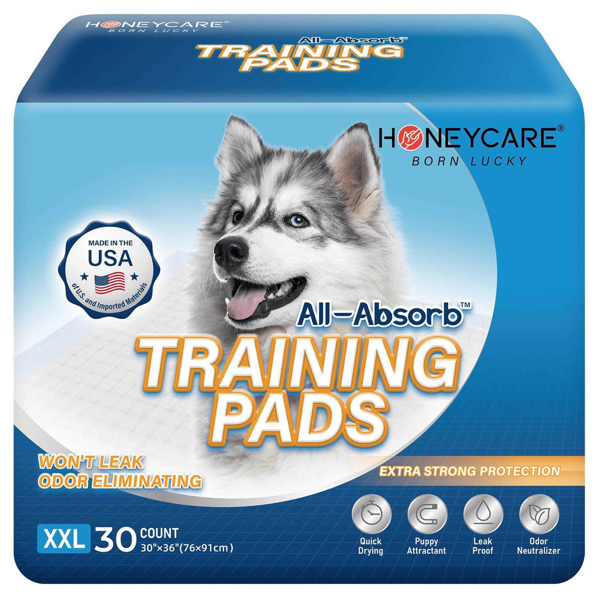 Dog and Puppy Training Pads D776494