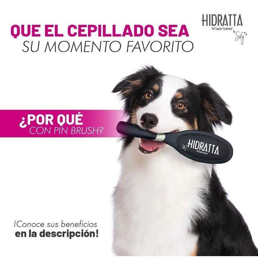 Pet Hairbrush Z901