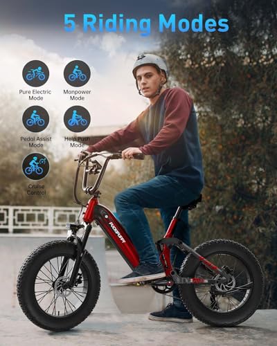 Electric Bike, Peak 1000W Motor, 48V 20Ah Battery, 20''×4.0'' Fat Tire Full Suspension, 28MPH, 80Miles Range, LCD Display, 7 Speed X14638