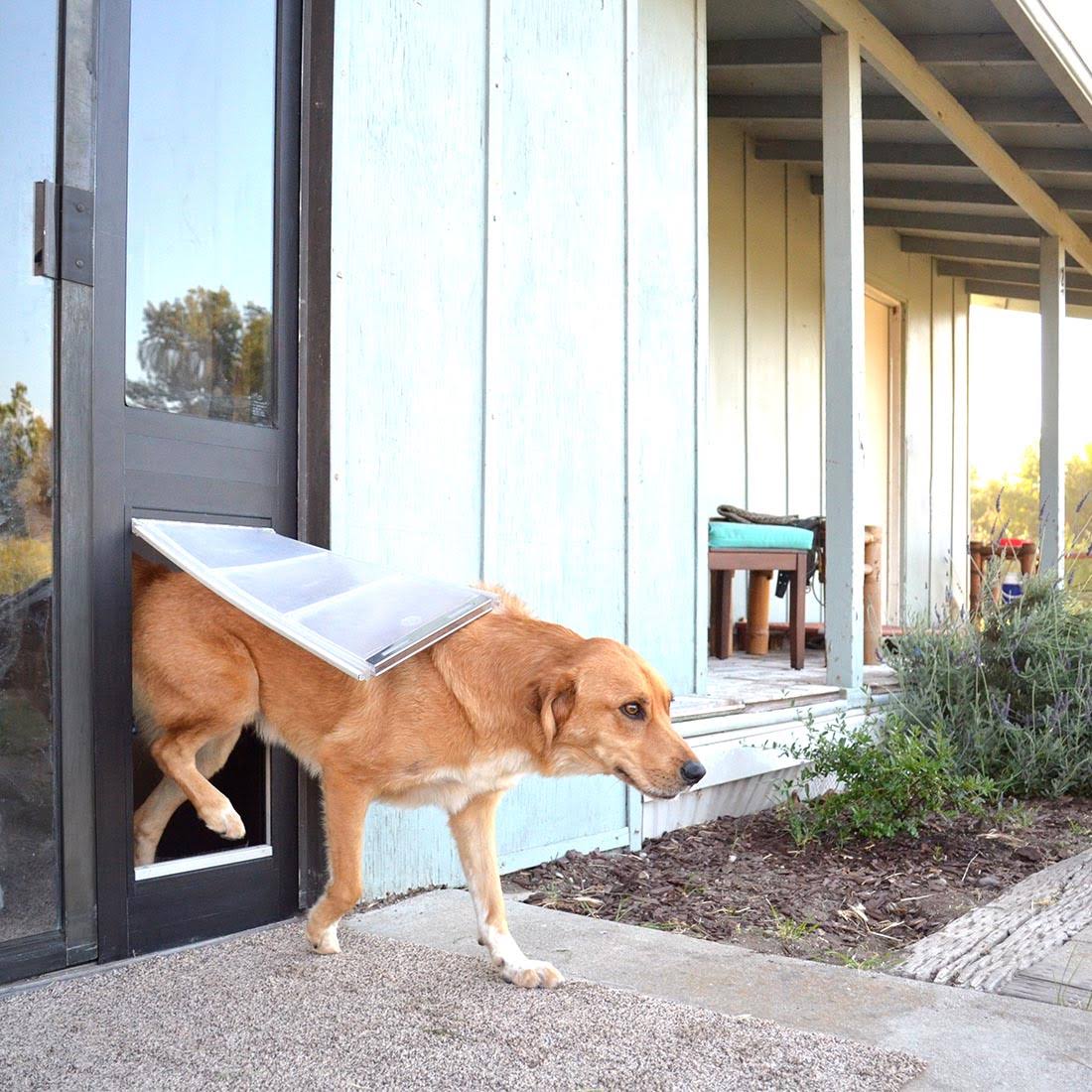 Bronze Frame Extra Large Pet Door Thermo Panel N3383