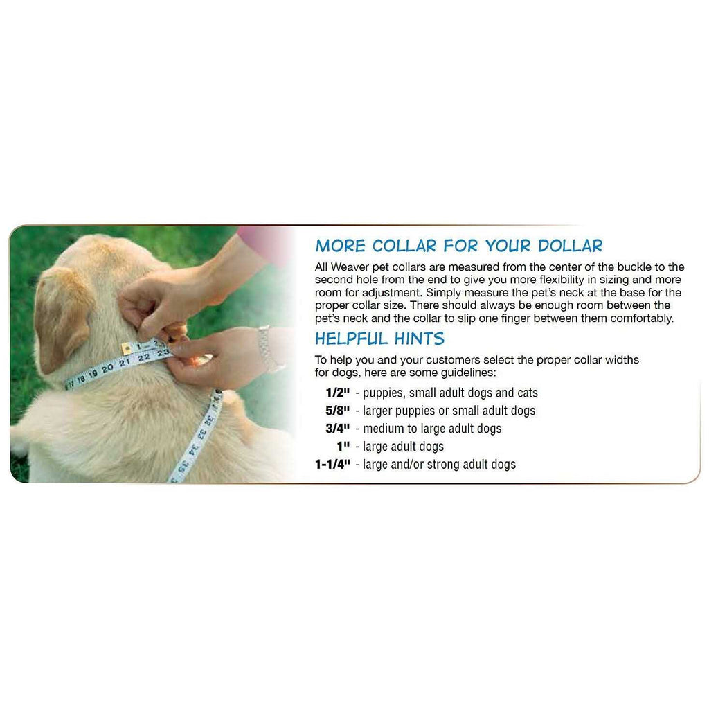 Dog Collar U344666