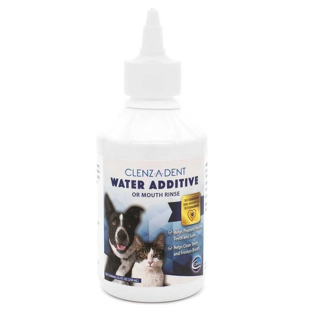 Chlorhexidine Rinse 8oz Bottle P817419