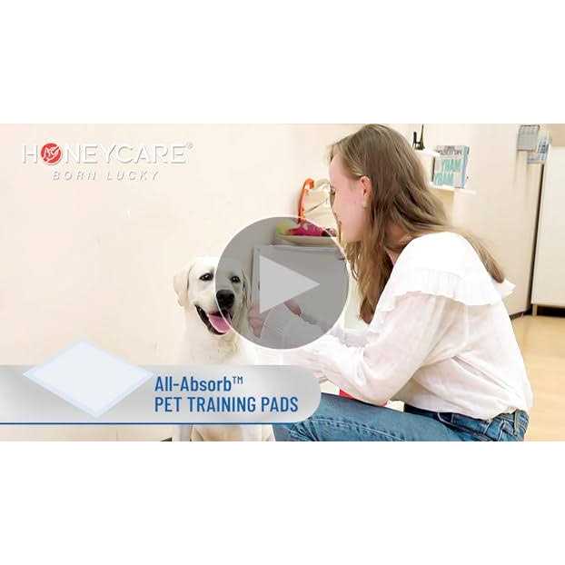 Dog and Puppy Training Pads D776494