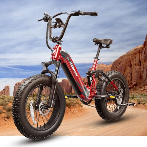 Electric Bike, Peak 1000W Motor, 48V 20Ah Battery, 20''×4.0'' Fat Tire Full Suspension, 28MPH, 80Miles Range, LCD Display, 7 Speed X14638