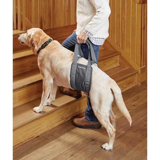 Gray Rear Dog Lift Y8415