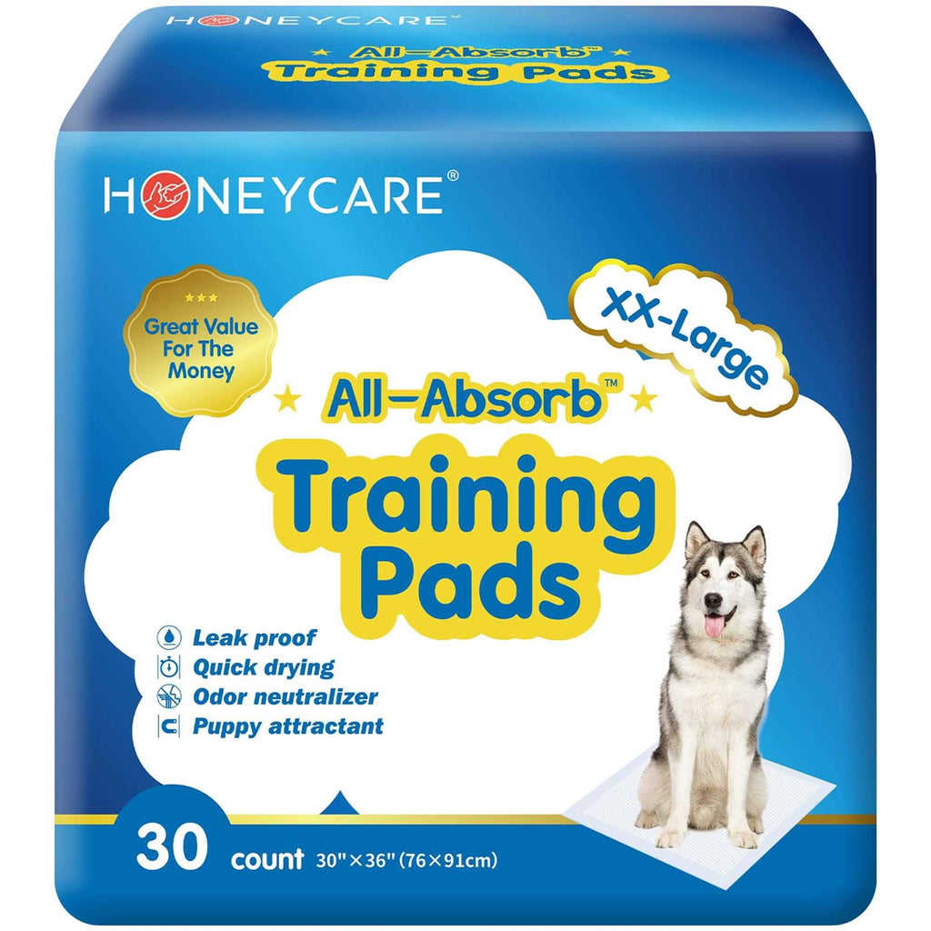 Dog and Puppy Training Pads D776494