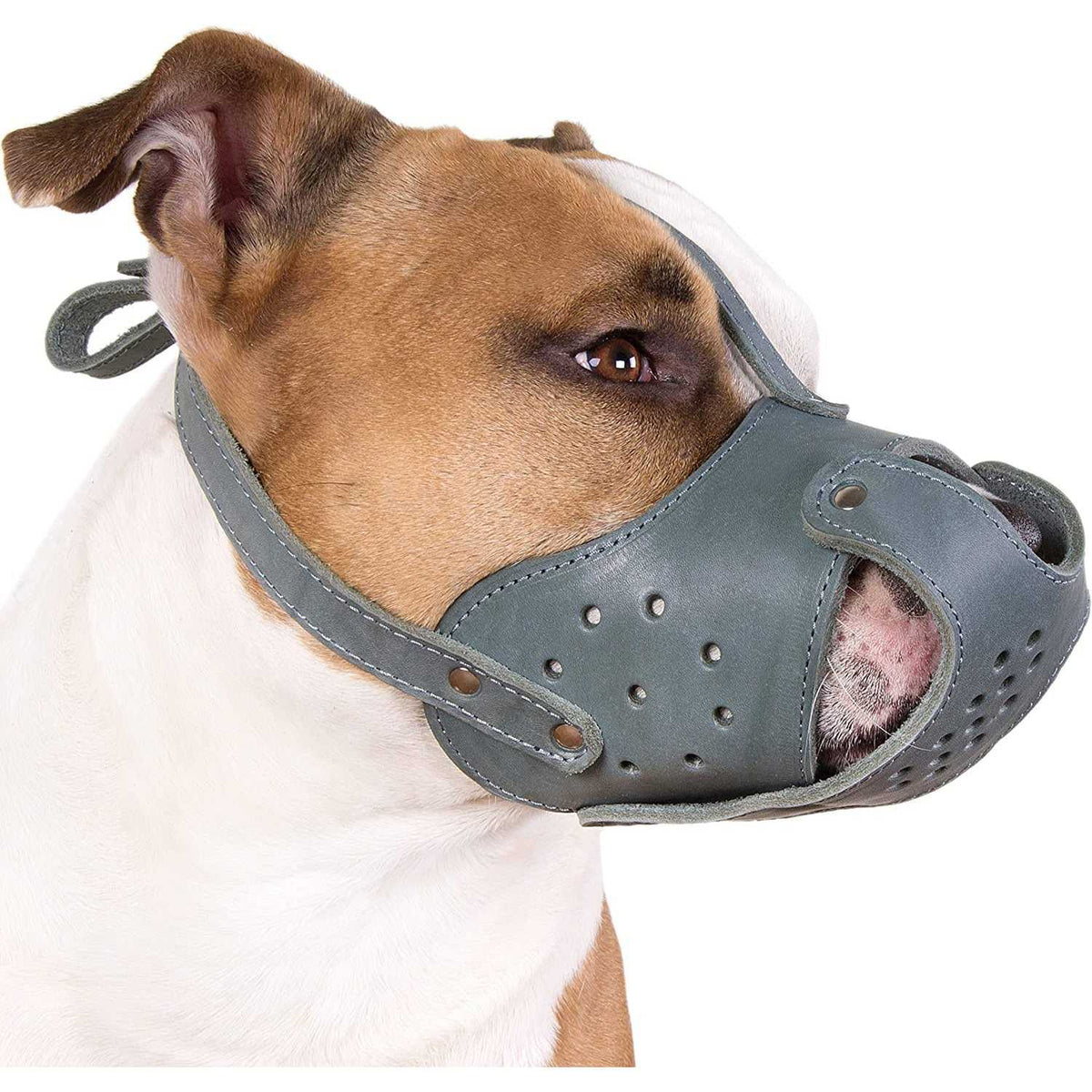 Dog Muzzle Basket Genuine Leather U54038