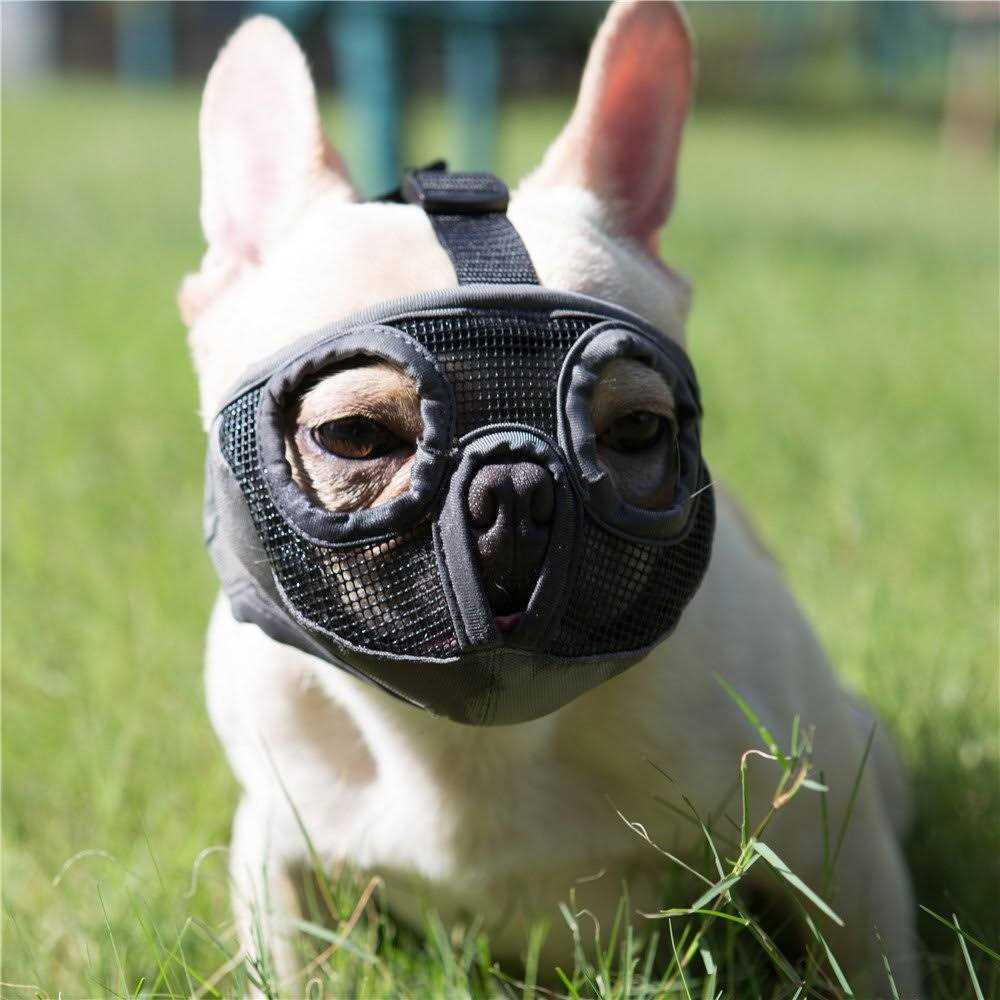 Adjustable Breathable Mesh Short Snout Dog Muzzle M881
