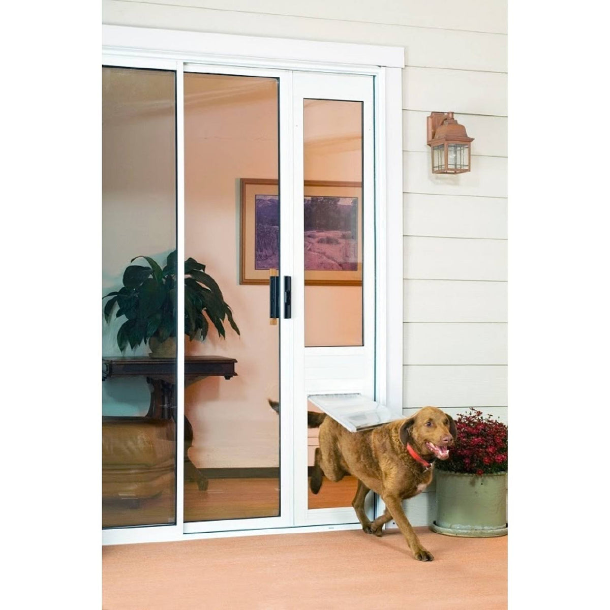 Bronze Frame Extra Large Pet Door Thermo Panel N3383