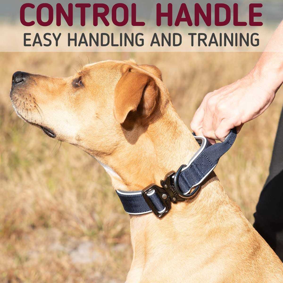 Heavy-Duty Adjustable Dog Collar with Handle A6976