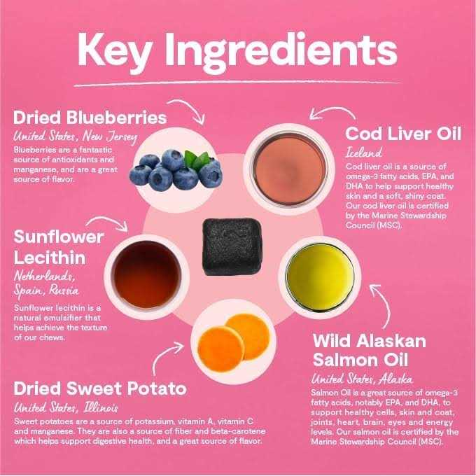 Skin & Coat Supplement Chews for Dogs O2063