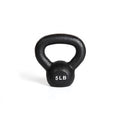 80 lb Single Kettlebell D12334