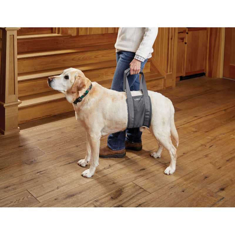 Gray Rear Dog Lift Y8415