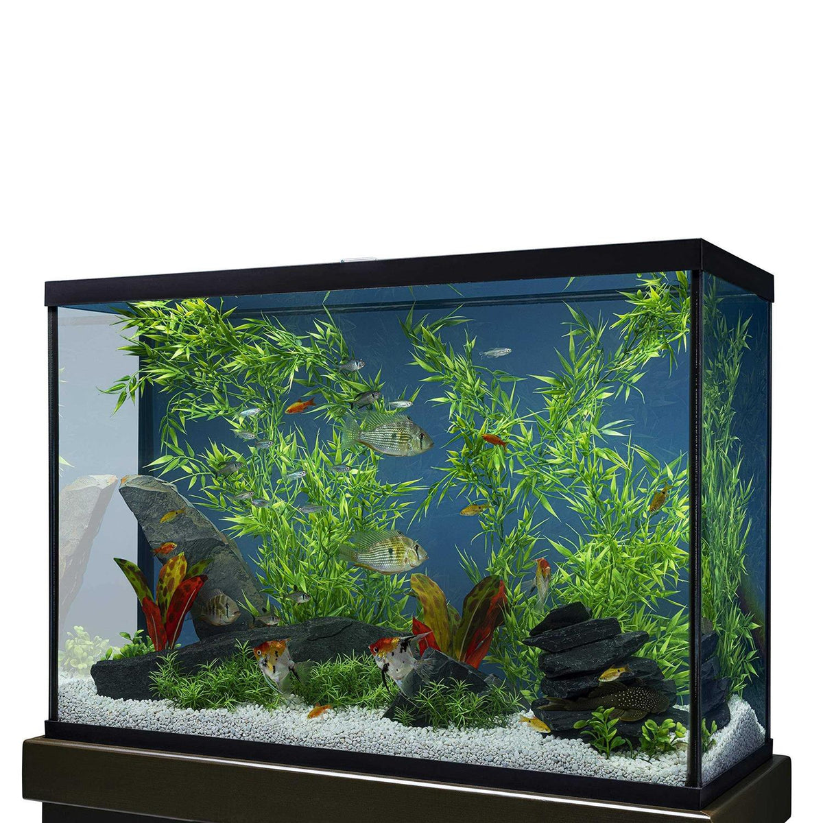 Bamboo 3 ft T91552