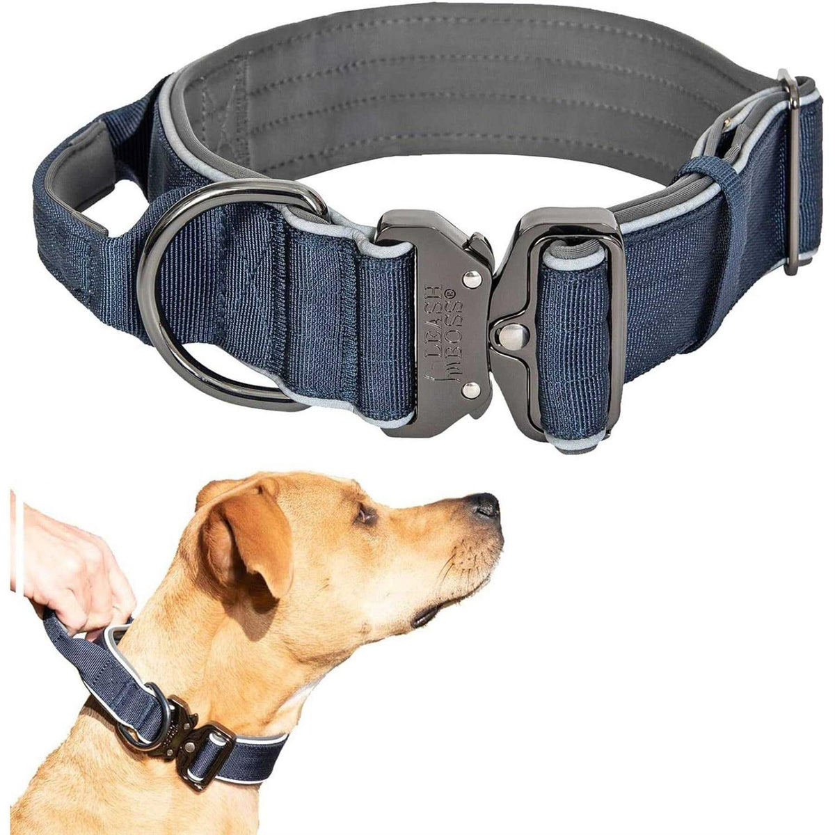 Heavy-Duty Adjustable Dog Collar with Handle A6976