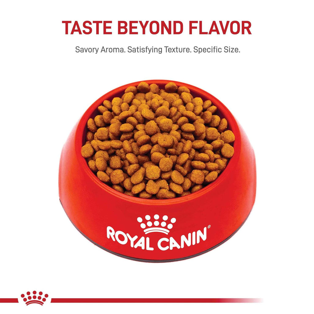 Miniature Schnauzer Puppy Dry Dog Food R393