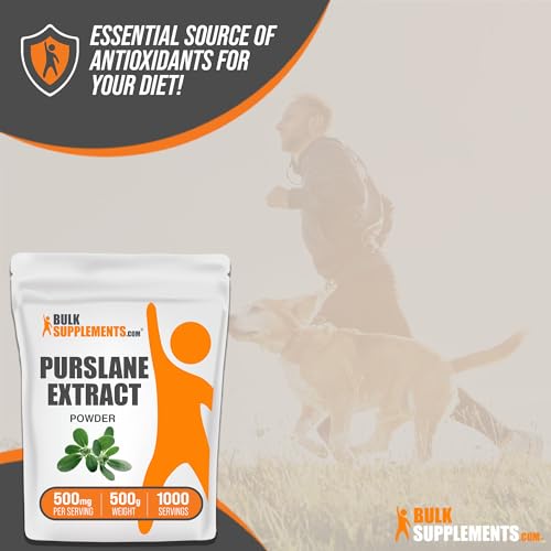 Purslane Extract Powder, 500mg per Serving, 1kg (2.2 lbs) B76700