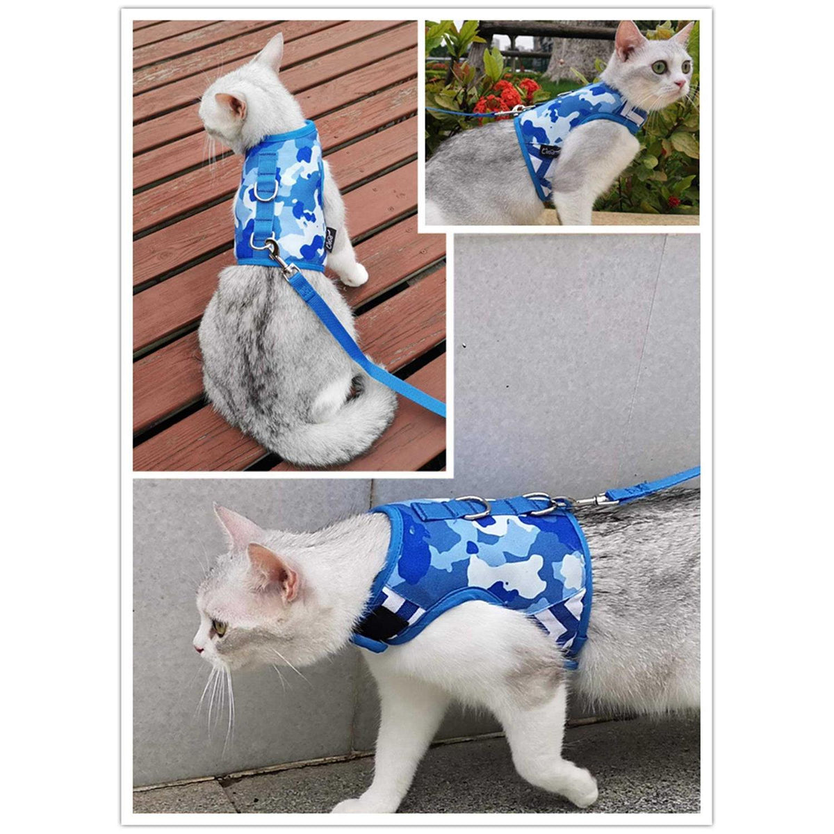 Cat Harness and Leash Q539