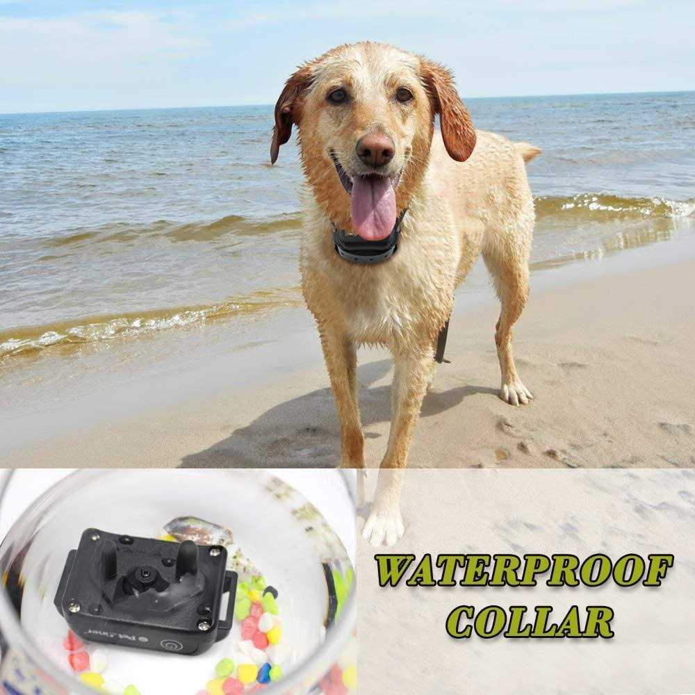 Rechargeable Waterproof Remote Dog Training Collar 330 yd E49355
