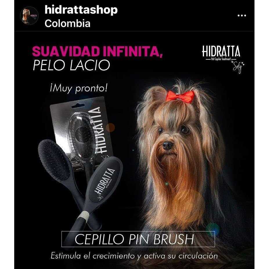 Pet Hairbrush Z901