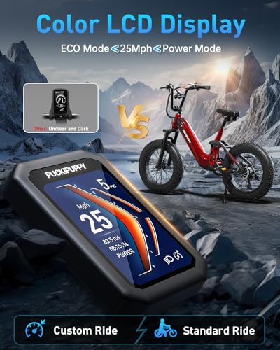 Electric Bike, Peak 1000W Motor, 48V 20Ah Battery, 20''×4.0'' Fat Tire Full Suspension, 28MPH, 80Miles Range, LCD Display, 7 Speed X14638