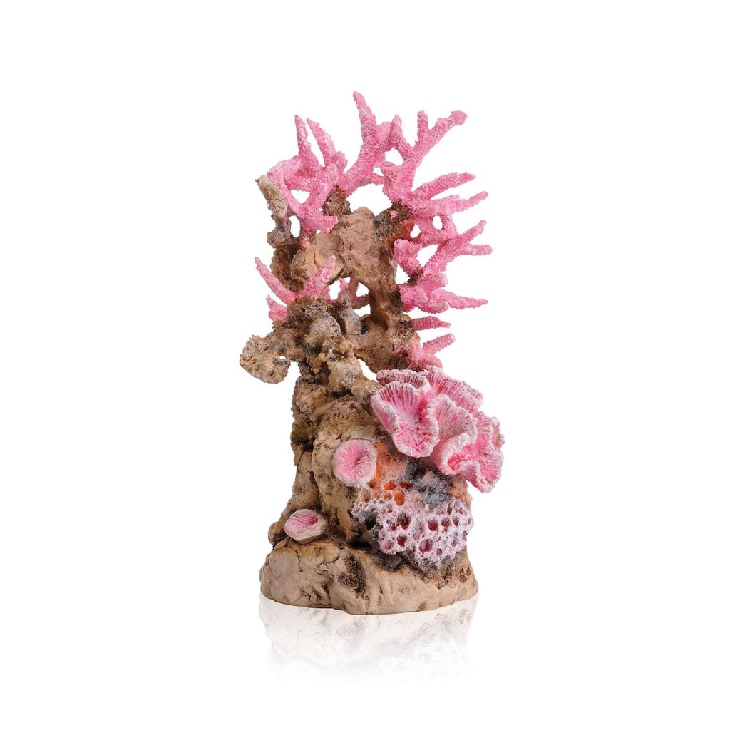 Reef Ornament J5978