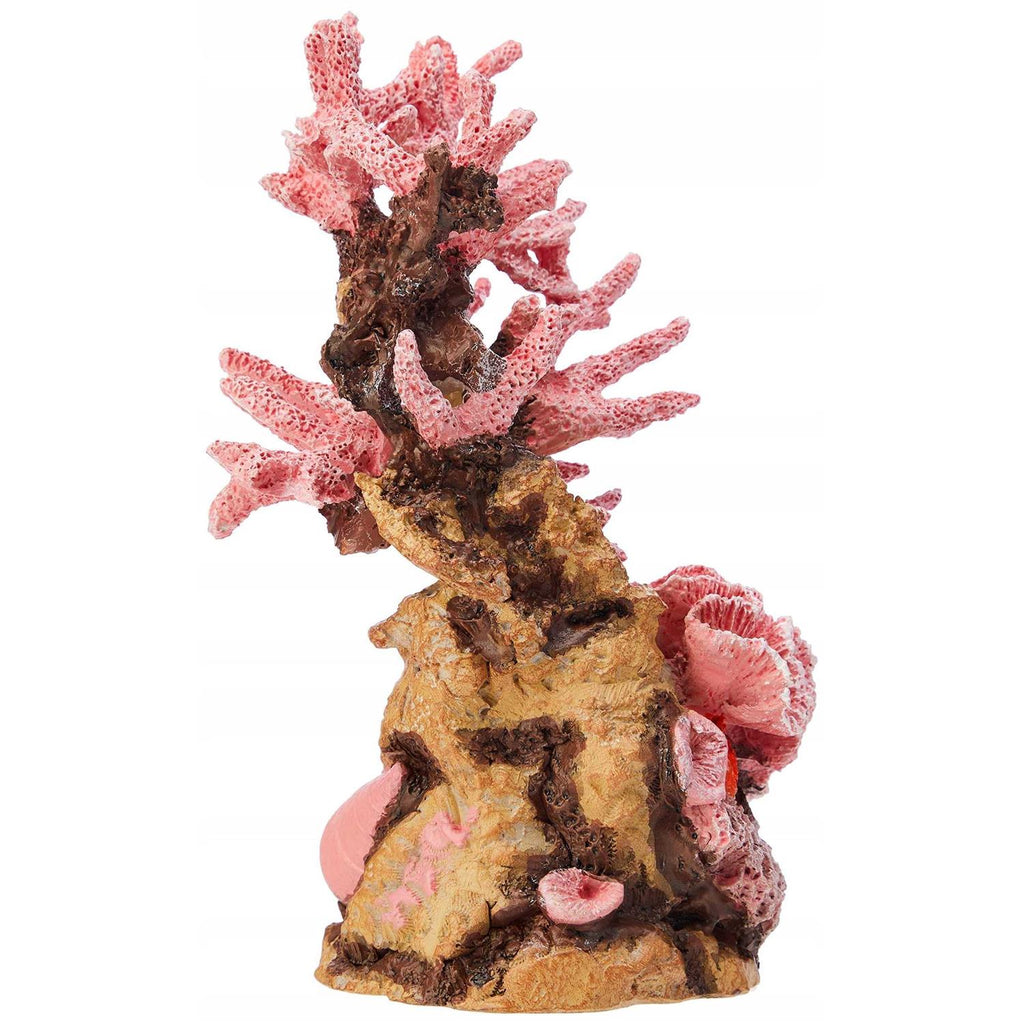 Reef Ornament J5978
