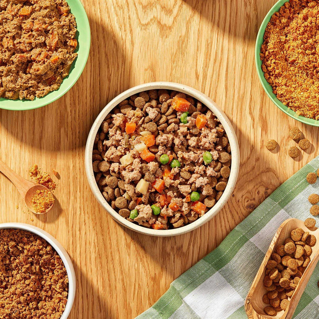 Grain-Free Wet Dog Food K28149