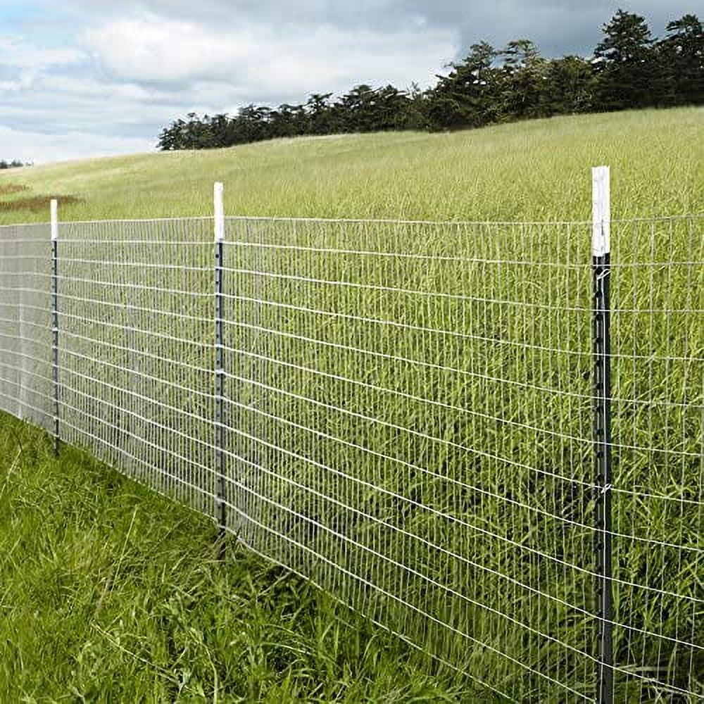 Galvanized Welded Wire Mesh Garden Fence X1387