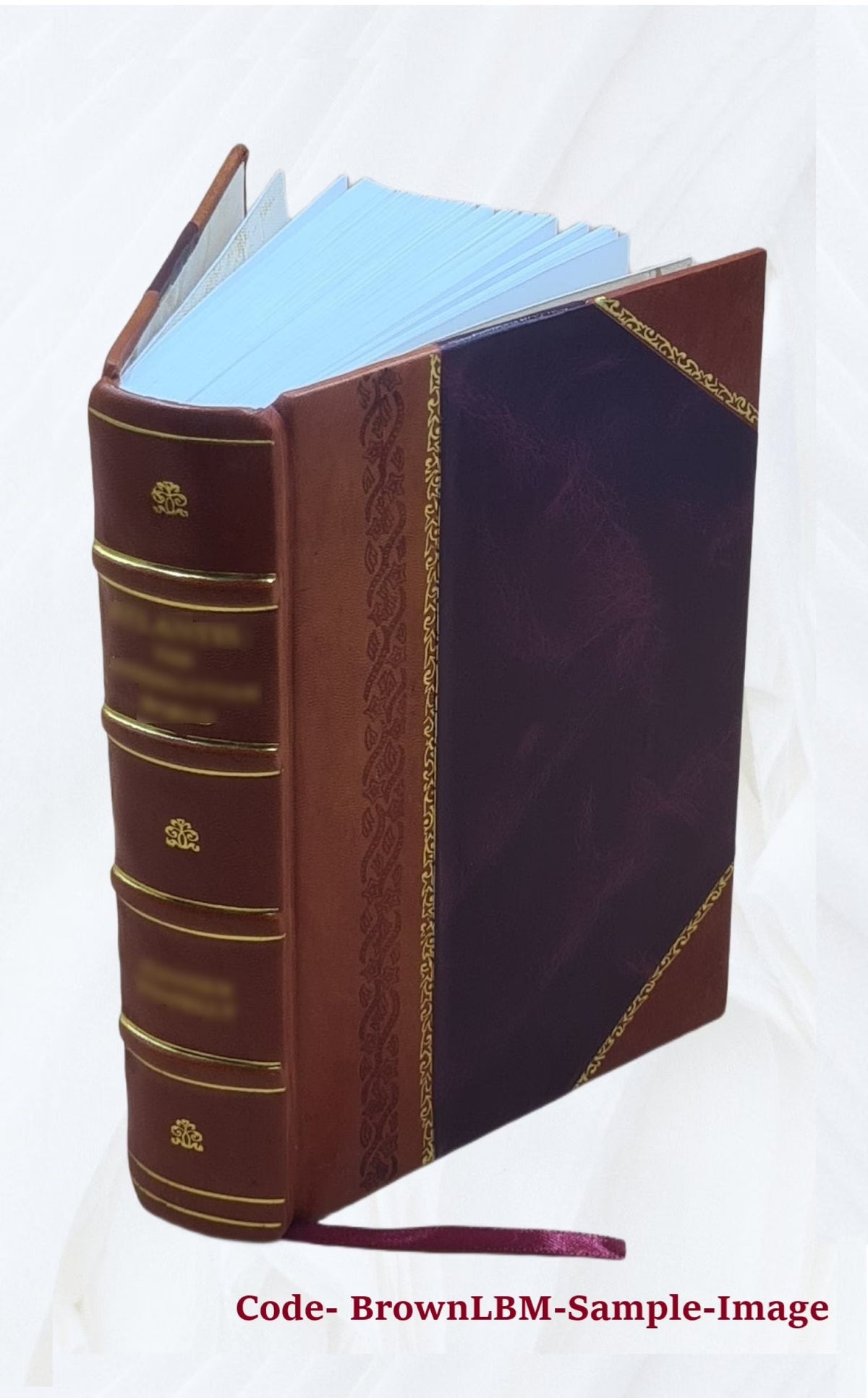 Auction developments by Milton C. Work. 1913 Leather Bound D187