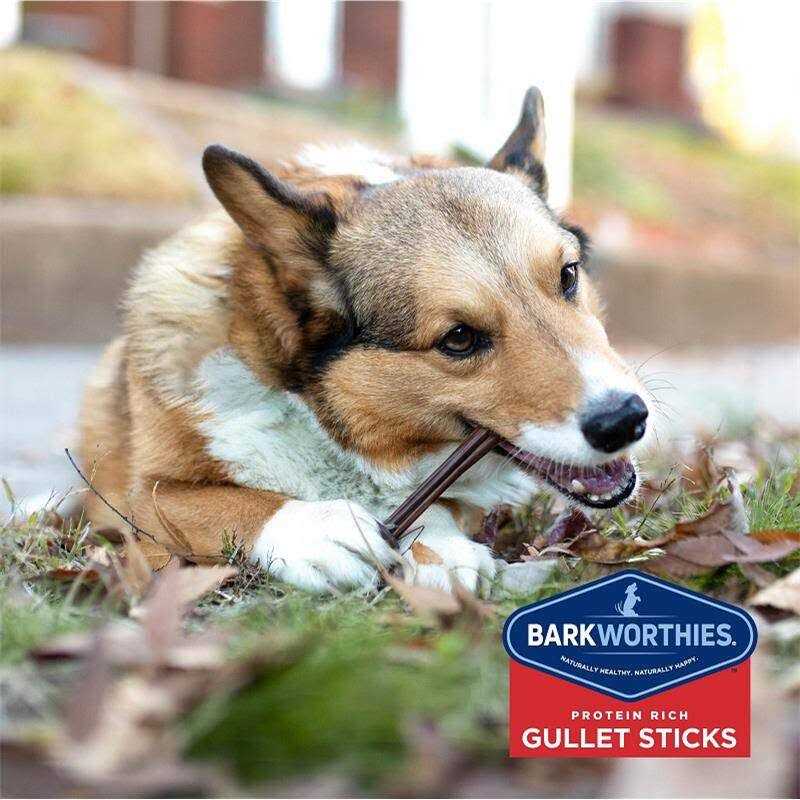 Odor Free Bully S911