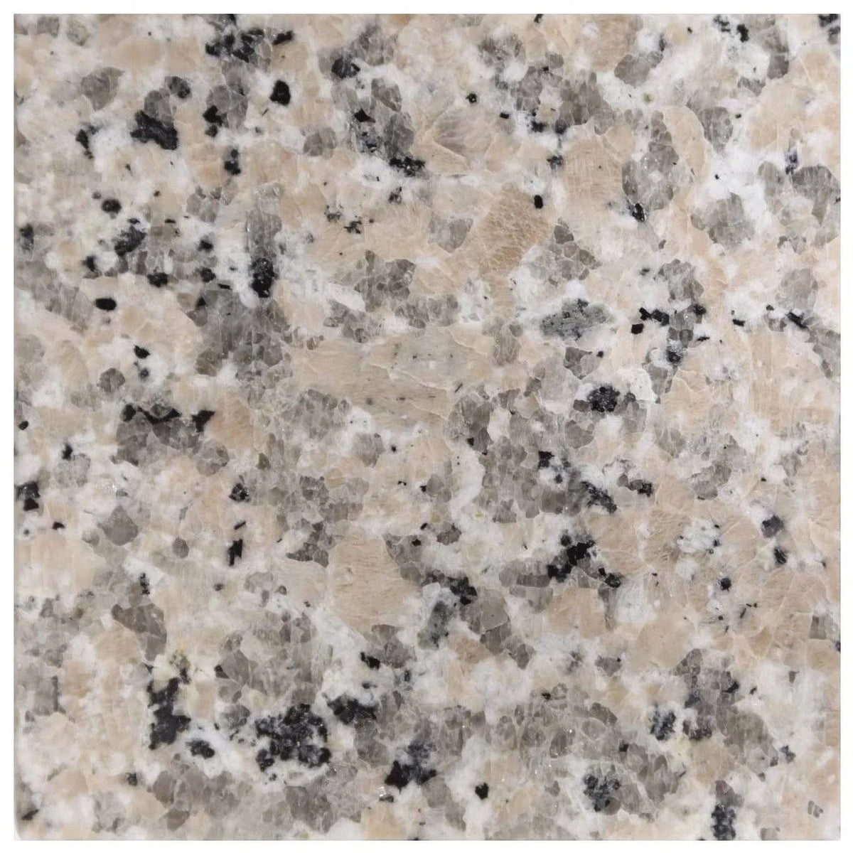 Single Vanity Top with Backsplash L531