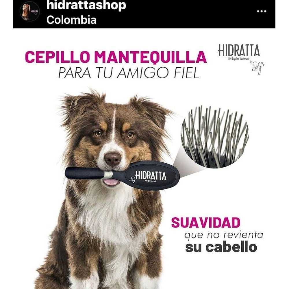 Pet Hairbrush Z901