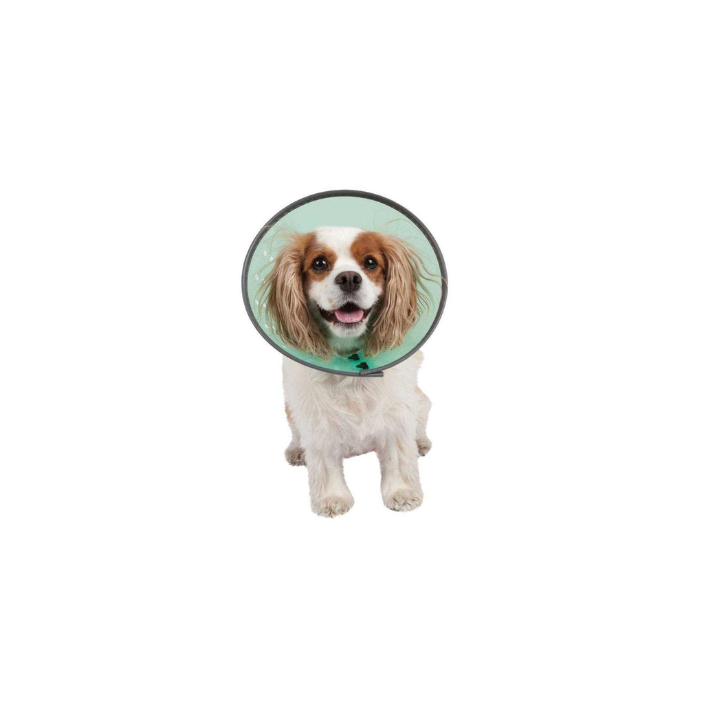 Dog E-Collar B908419