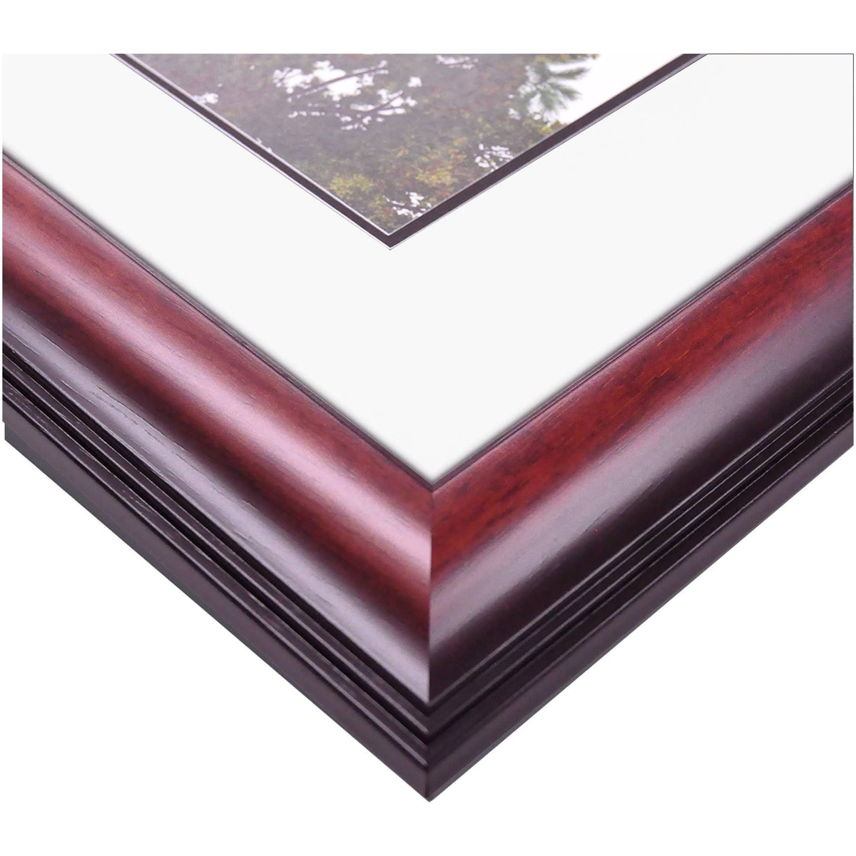 Diploma Frame P695