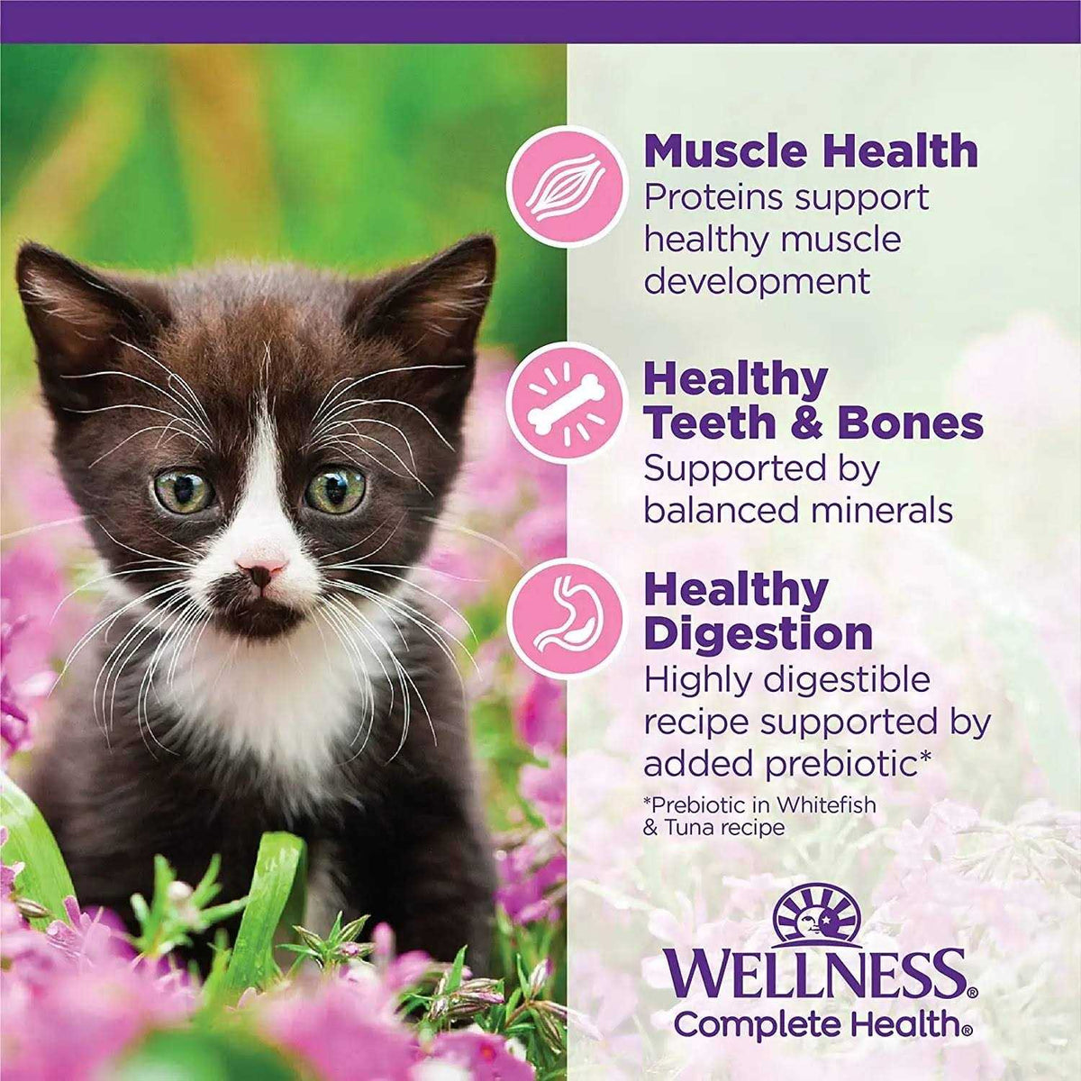 Cat Food L311